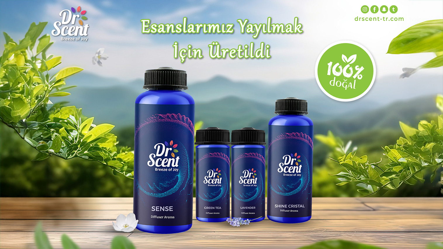 WhatsApp Image 2025-12-28 at 7.24.30 PM