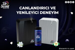 en kalıcı oda kokusu